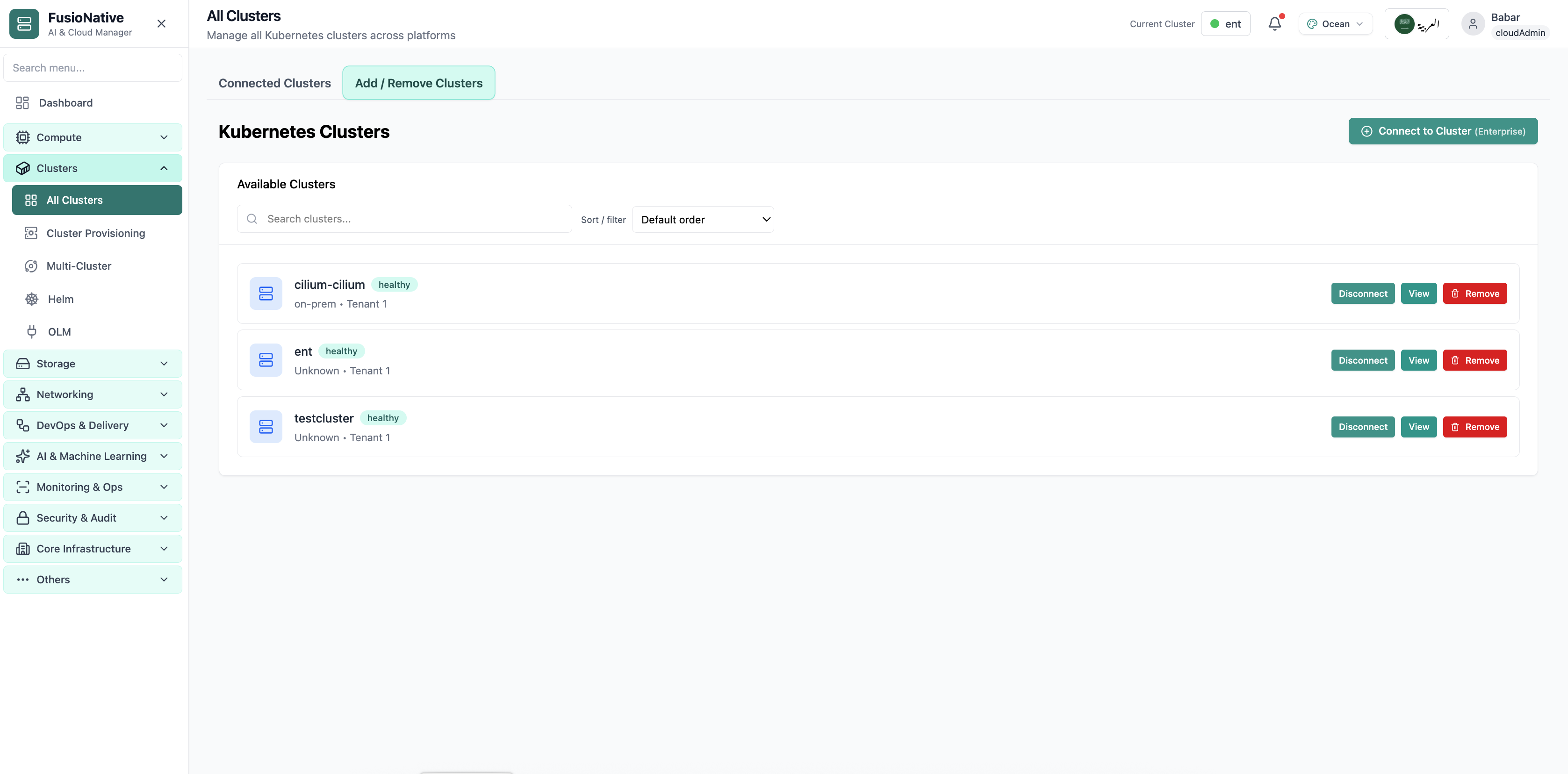 Cluster management table with connection and status details.